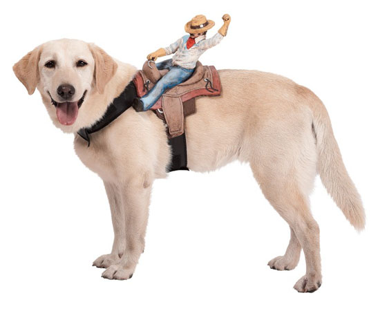 Top 20 Dog Halloween Costumes - Dog Riders Cowboy Costume