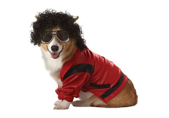 Top 20 Dog Halloween Costumes - Pop King Pet Costume