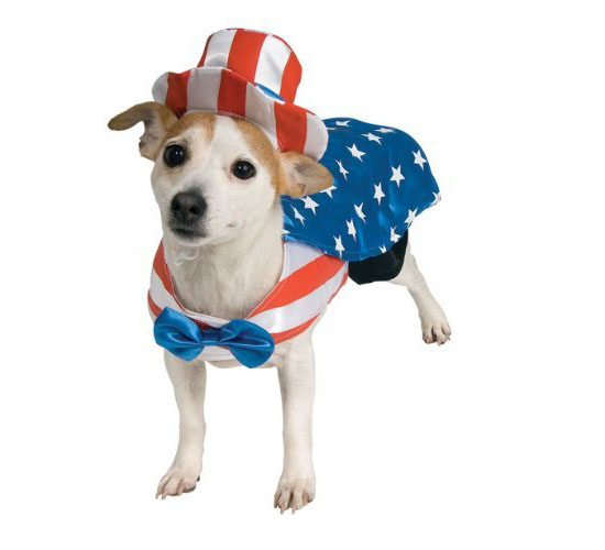 Top 20 Dog Halloween Costumes - Uncle Sam Dog Costume