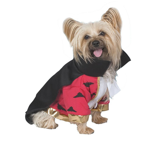 Top 20 Dog Halloween Costumes - Vampire Dog Costume