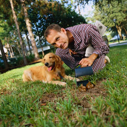 How to Stop a Dog from Eating Poop