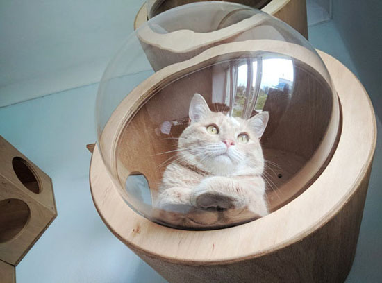 Handmade Indoor Round Cat House by PetsHelperCo