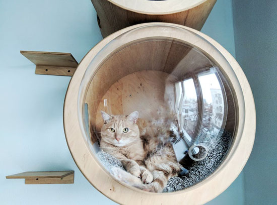 Handmade Indoor Round Cat House by PetsHelperCo