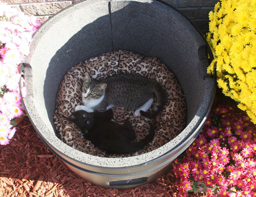 ... Eco-Friendly Kitty Tube Fully Insulated Outdoor Cat House with Pillow