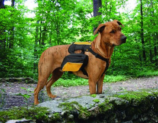 Kurgo Wander Pack Dog Backpack