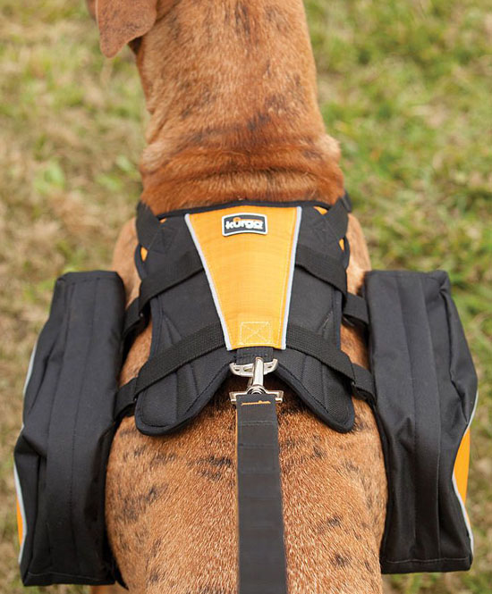 Kurgo Wander Pack Dog Backpack