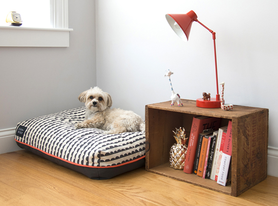 Lion Wolf Pet Bed