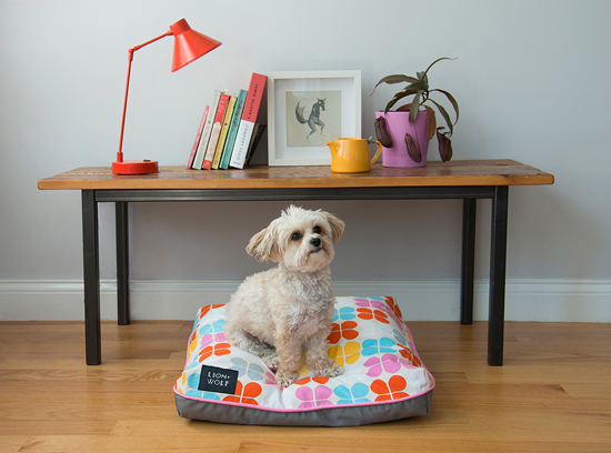 Lion Wolf Pet Bed