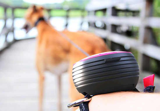 Lishinu Handsfree Retractable Dog Leash