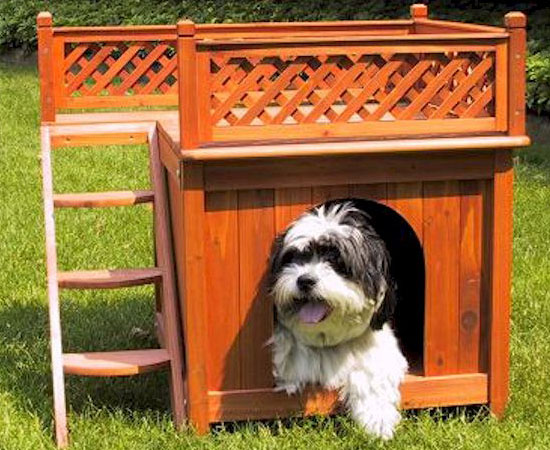 Merry Pet Room-with-a-View Pet House