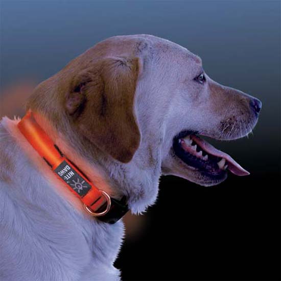 Nite Ize Nite Dawg LED Dog Collar