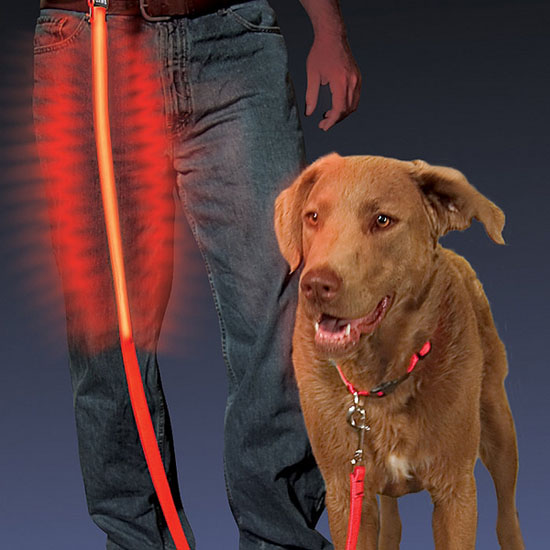 Nite Ize Nite Dawg LED Dog Leash