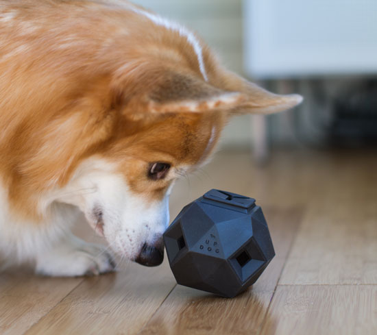 Odin Modern Puzzle Dog Toy