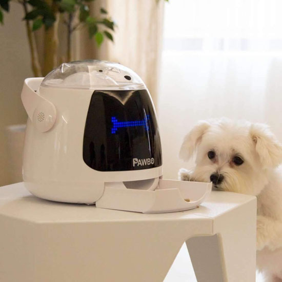 Pawbo Munch Dog Treat Dispenser