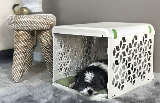 PAWD Nesting Space for Your Pet by Chasing Monkey