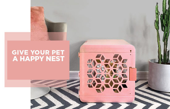 PAWD Nesting Space for Your Pet by Chasing Monkey