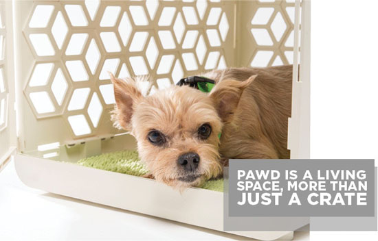 PAWD Nesting Space for Your Pet by Chasing Monkey