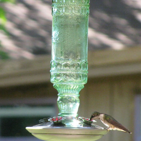 Perky Pet Antique Bottle Hummingbird Feeder