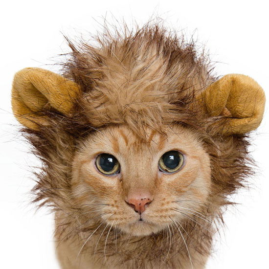 Pet Krewe Lion Mane Cat Costume