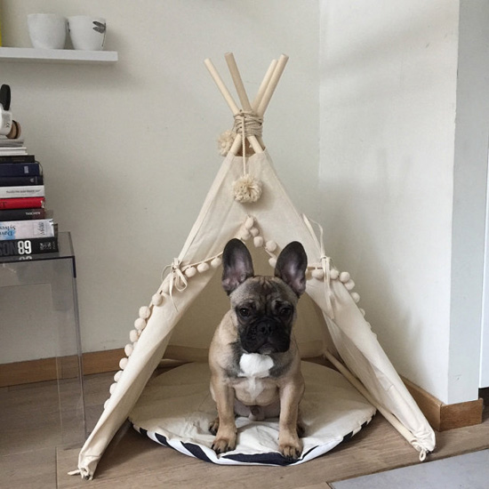 Pet Teepee with Poles and Pad for Dog