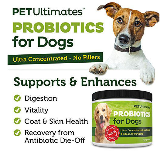 Pet Ultimates Probiotics for Dogs