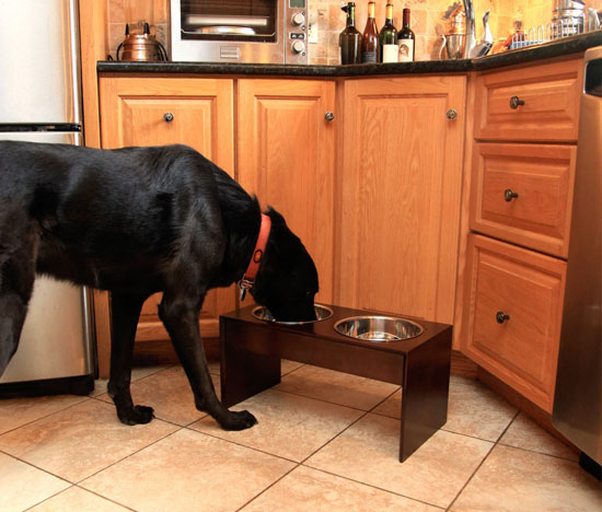 PetFusion Elevated Pet Bowl Holder in Natural Pine