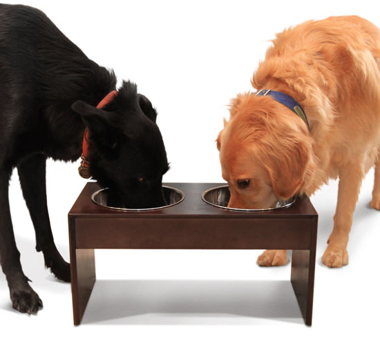 PetFusion Elevated Pet Bowl Holder in Natural Pine