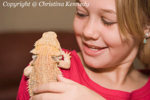 Top 5 Positive Aspects of Having a Reptile as a Pet