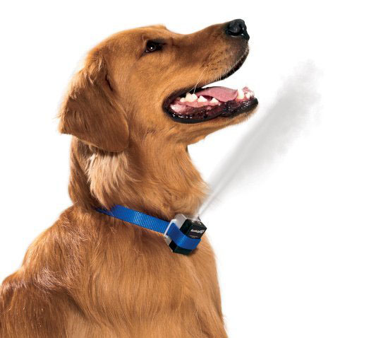 Premier GentleSpray Citronella Anti-Bark Dog Collar