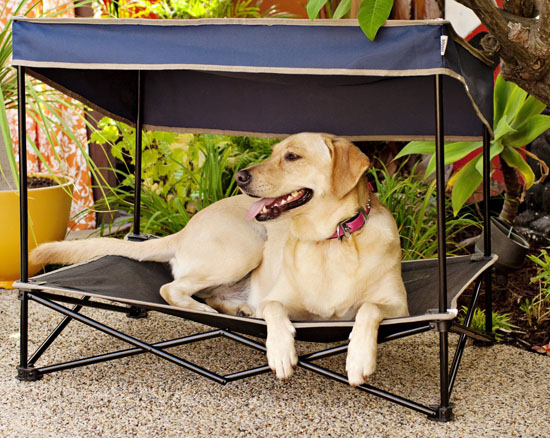 Quik Shade Outdoor Instant Pet Shade with Elevated Mesh Bed