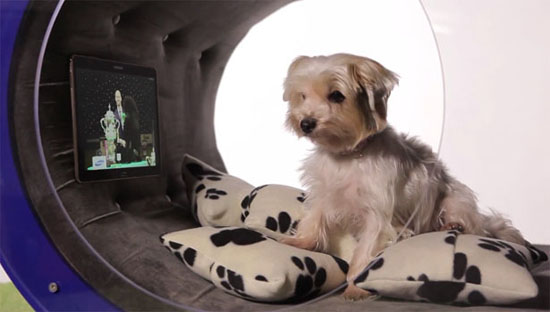 Samsung Smart Dog House