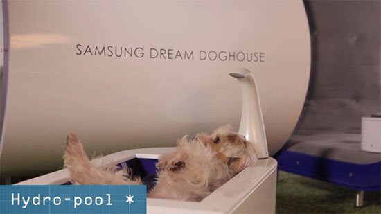 Samsung Smart Dog House