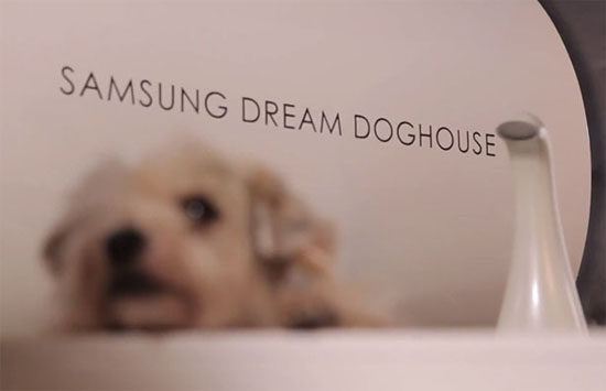 Samsung Smart Dog House