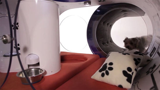 Samsung Smart Dog House