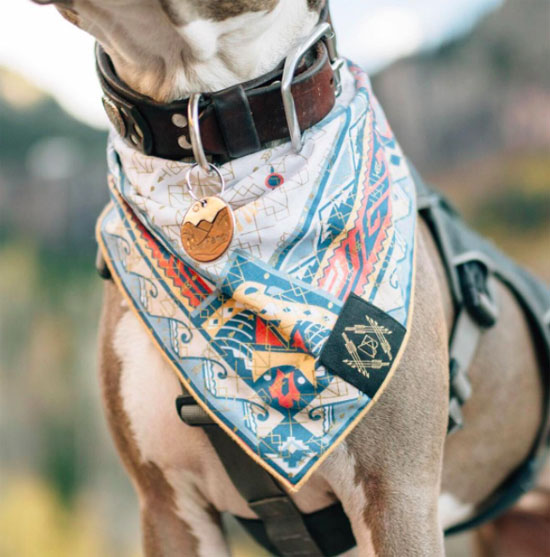 Unique Screen-Printing Vintage Bandana Collection for Dog by Boots and Arrows