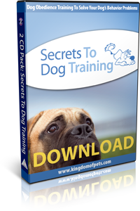 How to Stop Dog From Digging Holes - Secrets to Dog Training