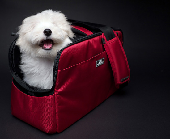 Sleepypod Atom Modern Pet Carrier