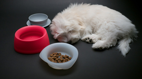 Sleepypod Yummy Travel Bowls - Modern Pet Supplies
