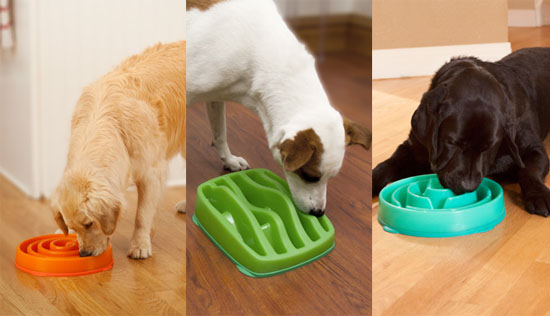 Slo-Bowls : Slow Feeders for Dogs