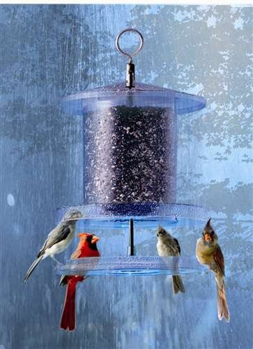 Songbird Essentials All Weather Feeder 6 Quart