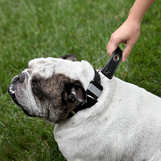 Super Collar - Innovative Collar and Leash Hybrid