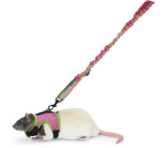 Super Pet Ferret Comfort Harness and Stretchy Leash