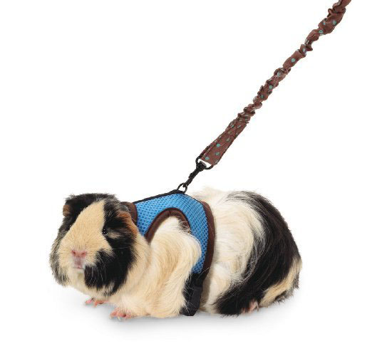 Super Pet Ferret Comfort Harness and Stretchy Leash