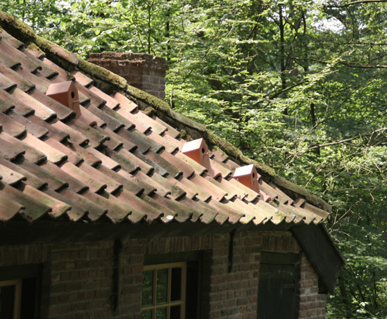 Terracotta Roof with Integrated BirdHouse by Klaas Kulken