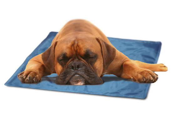 The Green Pet Shop Self Cooling Pet Pad