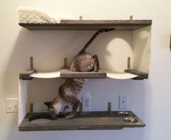 Three Level Cat Wall Bunker