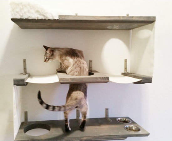 Three Level Cat Wall Bunker