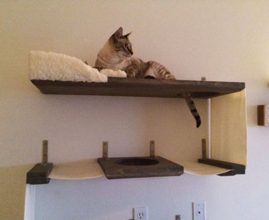 Three Level Cat Wall Bunker