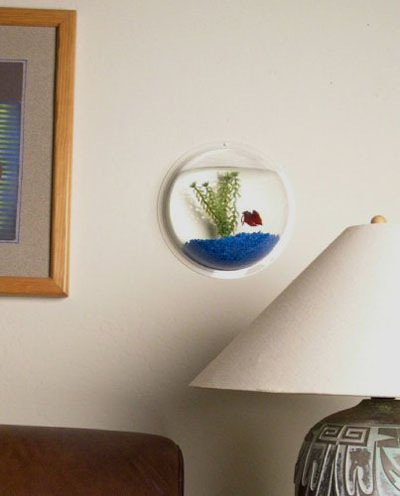 Wall Mount Fish Aquarium