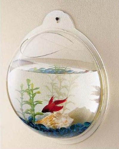 Wall Mount Fish Aquarium